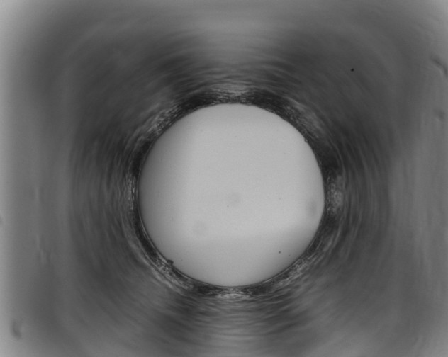X0000098120468200804040828