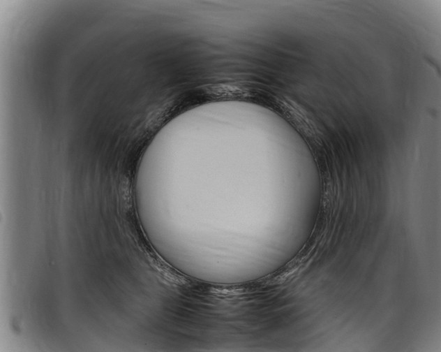 X0000098120469200804040828