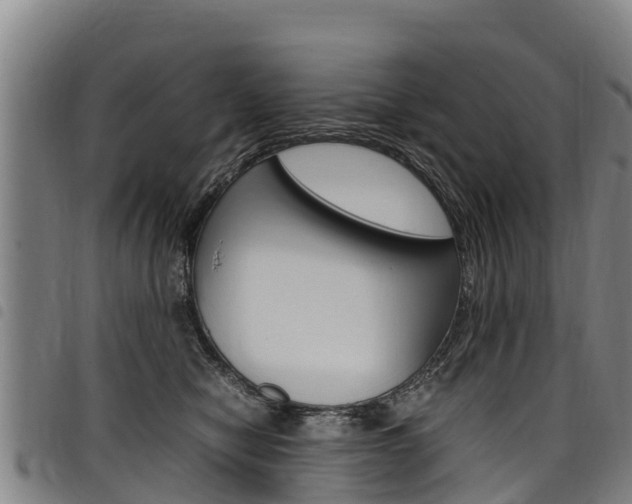X0000098120470200804040828