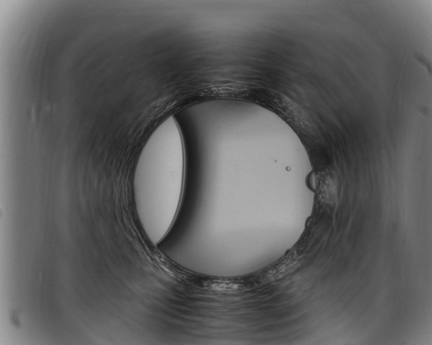 X0000098120471200804040828