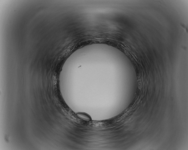 X0000098120472200804040828