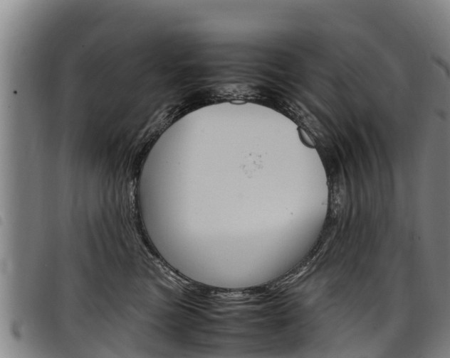 X0000098120473200804040828