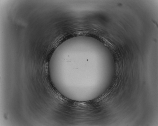 X0000098120475200804040828