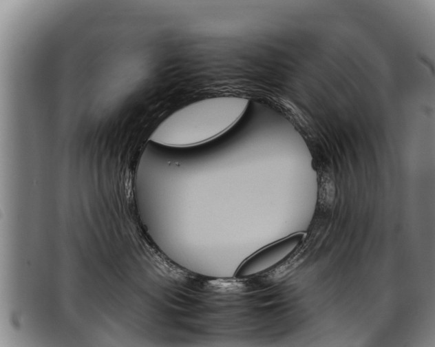 X0000098120477200804040828