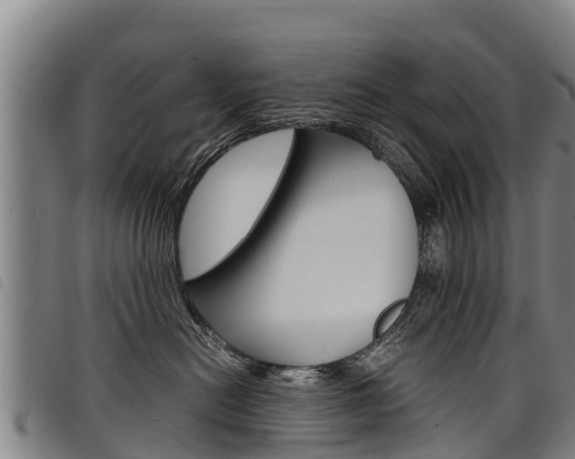 X0000098120478200804040828