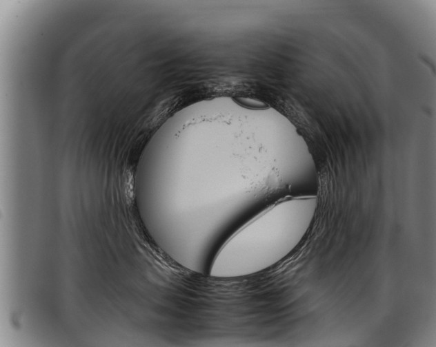 X0000098120479200804040828