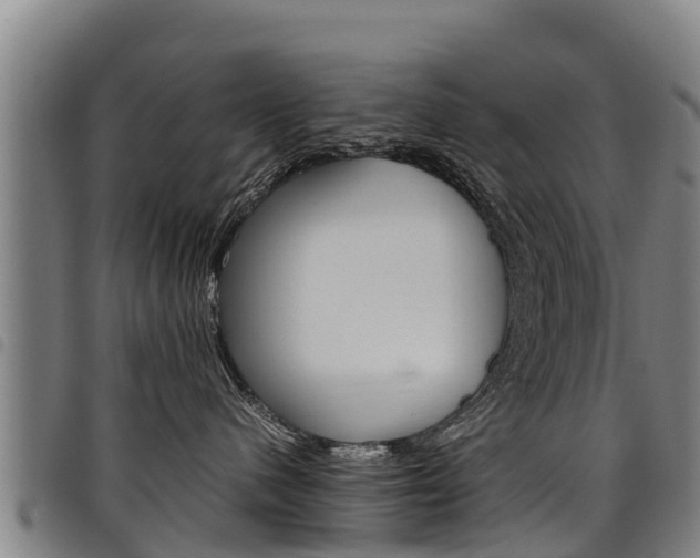 X0000098120480200804040828