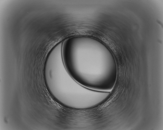 X0000098120481200804040827