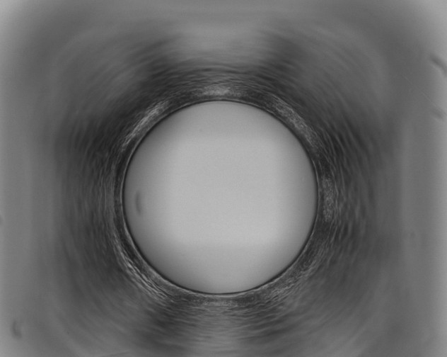 X0000098120482200804040827