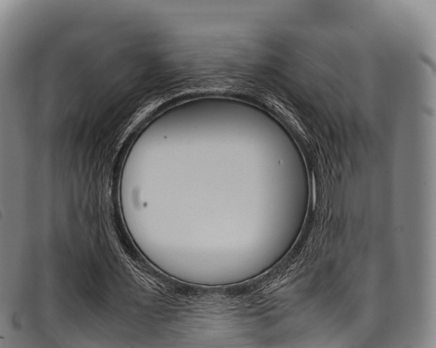 X0000098120483200804040827