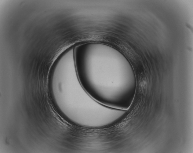 X0000098120484200804040827
