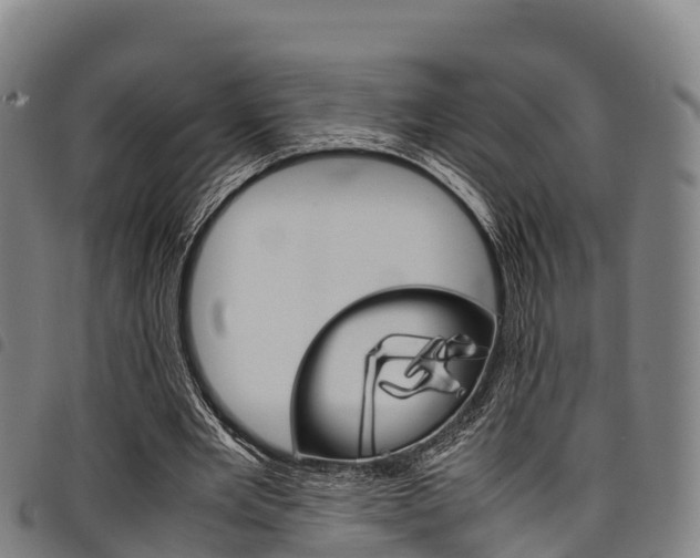 X0000098120485200804040827