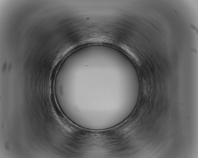 X0000098120486200804040827