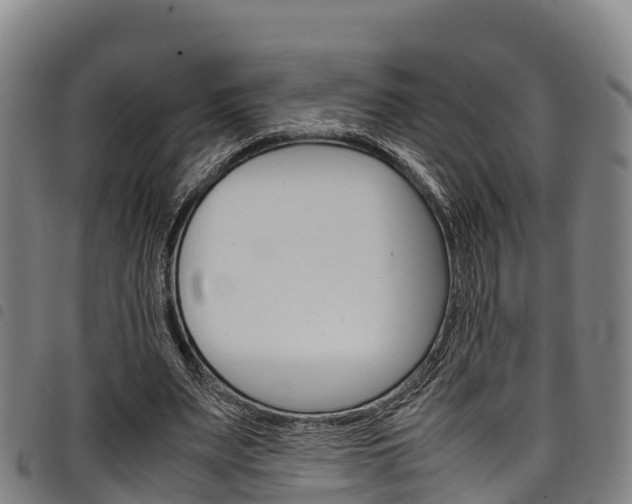 X0000098120487200804040827