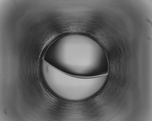 X0000098120488200804040827