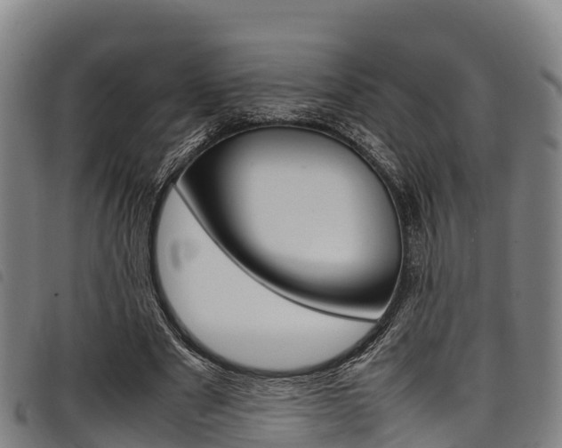 X0000098120489200804040827