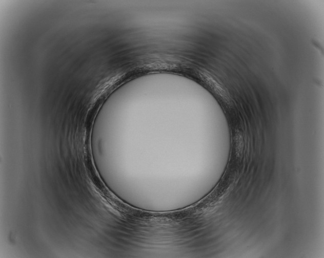 X0000098120490200804040827