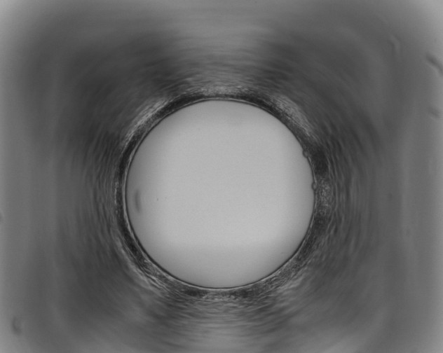X0000098120491200804040827