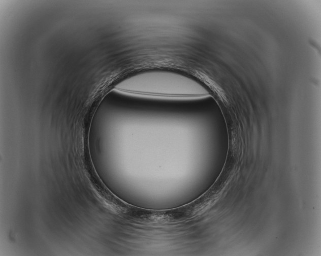 X0000098120493200804040827