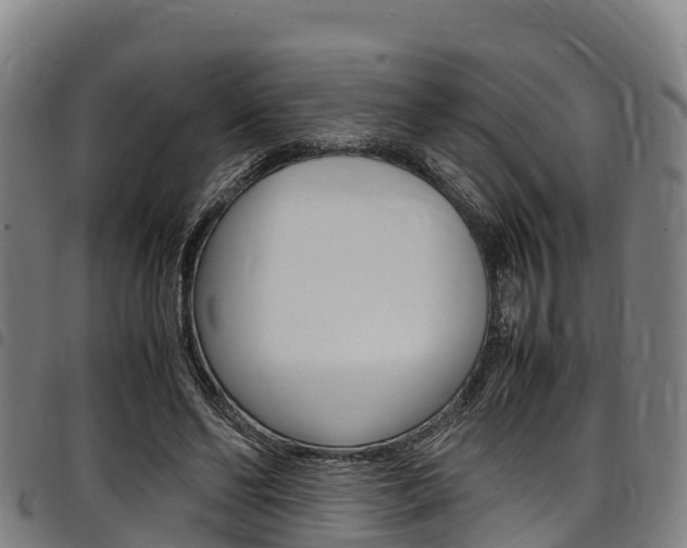 X0000098120494200804040827
