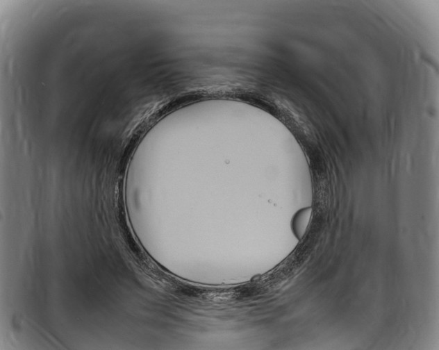 X0000098120495200804040827