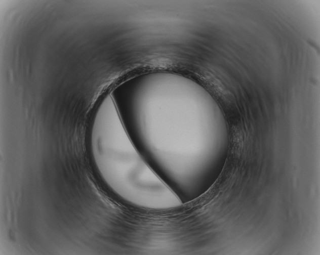 X0000098120496200804040827