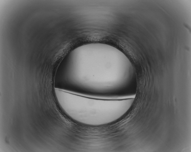 X0000098120497200804040827