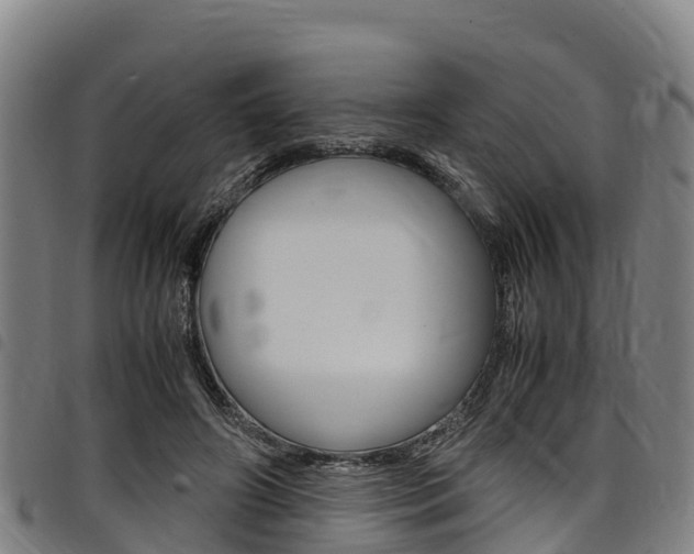 X0000098120498200804040827