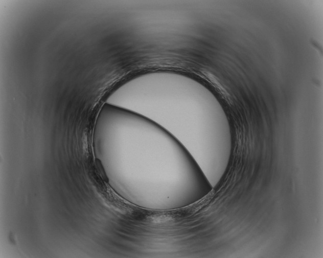 X0000098120500200804040827