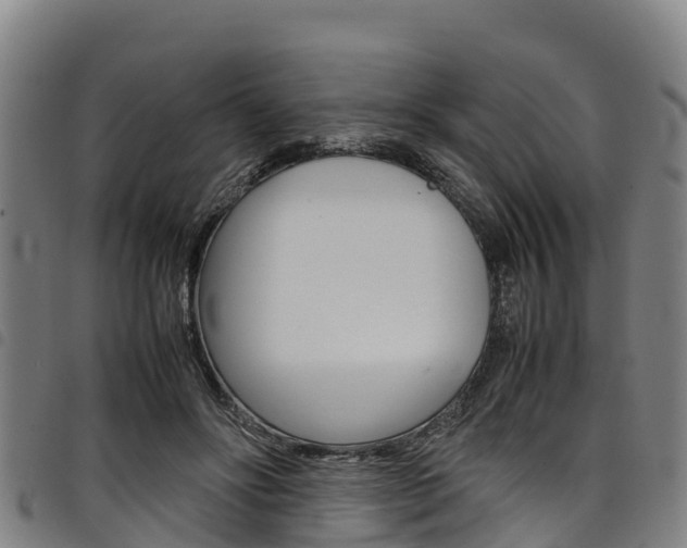 X0000098120502200804040827