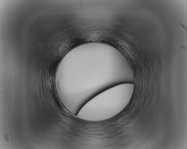 X0000098120503200804040827