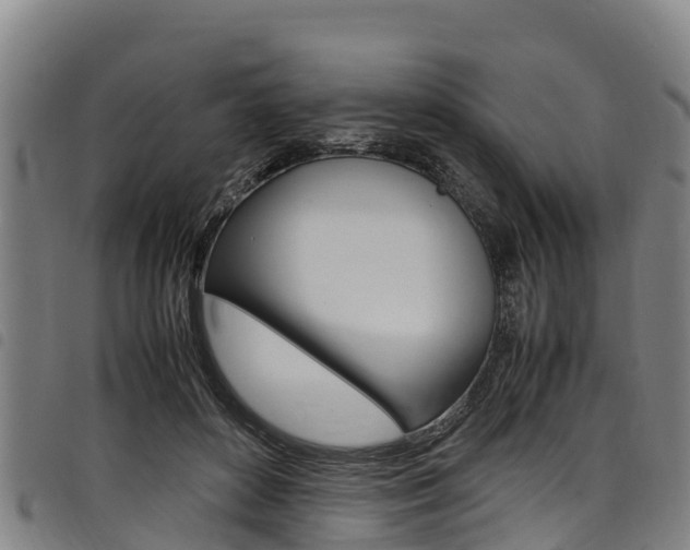 X0000098120504200804040827