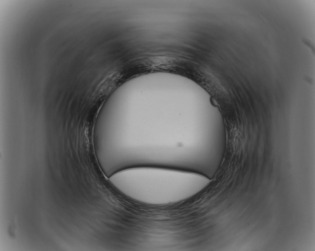 X0000098120506200804040827