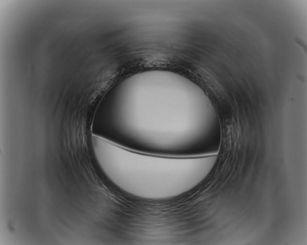 X0000098120508200804040827