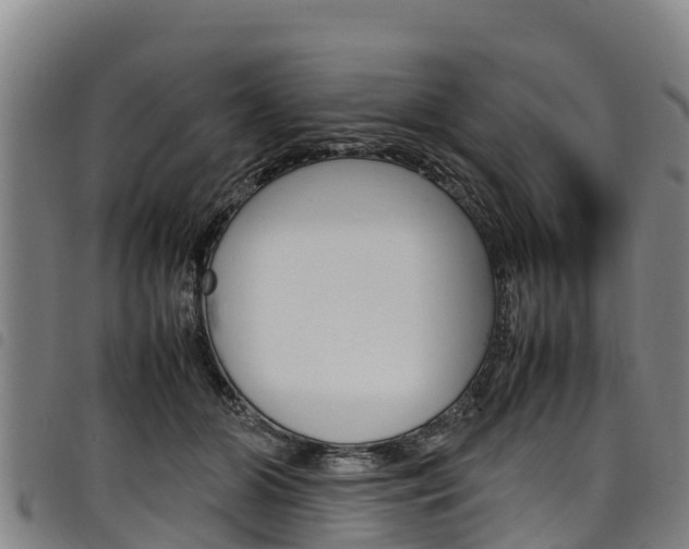 X0000098120510200804040827