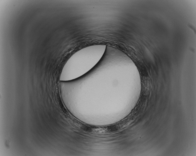 X0000098120511200804040827