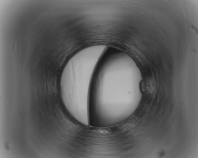 X0000098120512200804040827