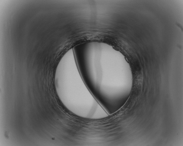 X0000098120513200804040827