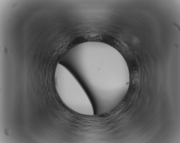 X0000098120515200804040827