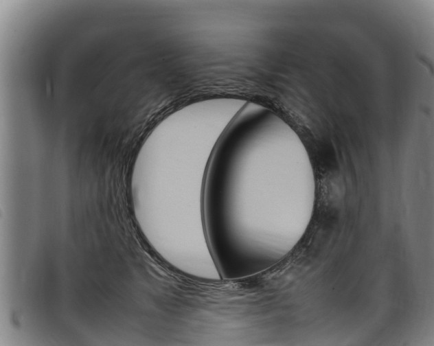 X0000098120517200804040827