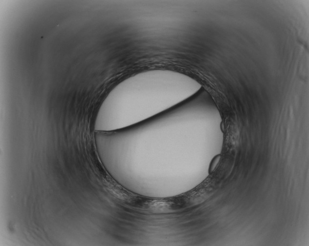X0000098120518200804040827