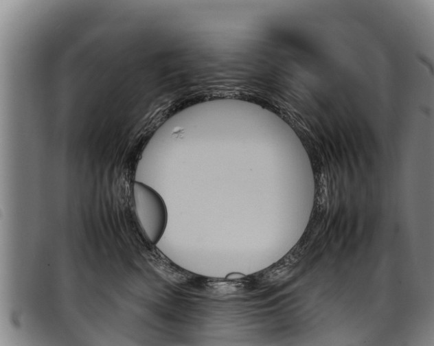 X0000098120522200804040826
