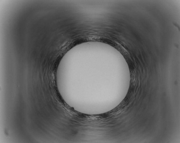 X0000098120523200804040826