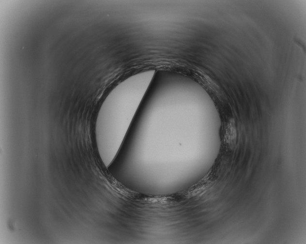 X0000098120524200804040826