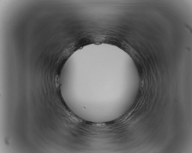 X0000098120525200804040826