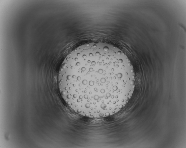 X0000098120527200804040826