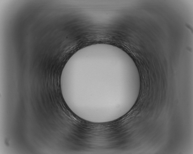 X0000098120528200804040826