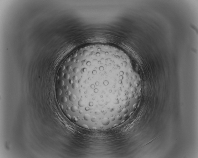 X0000098120529200804040826