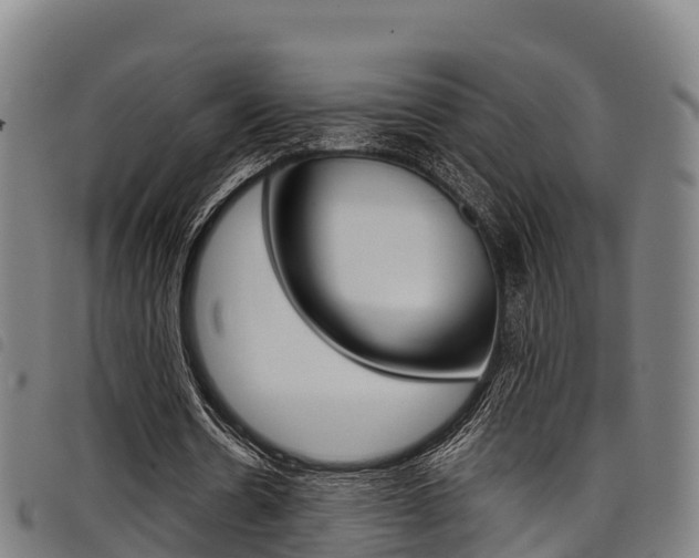X0000098120530200804040826