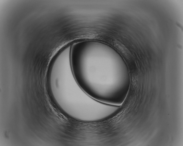 X0000098120532200804040826